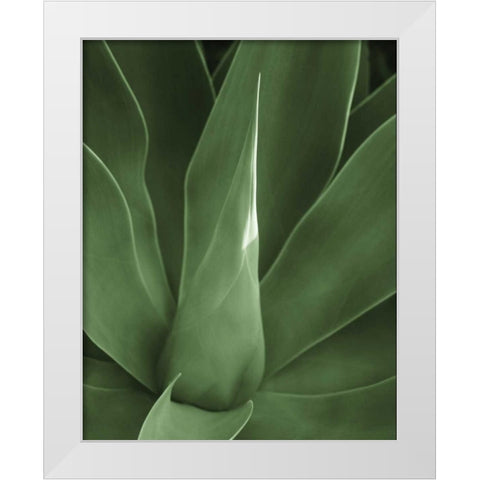 Tropica III White Modern Wood Framed Art Print by Maihara/Watt, Jeff/Boyce