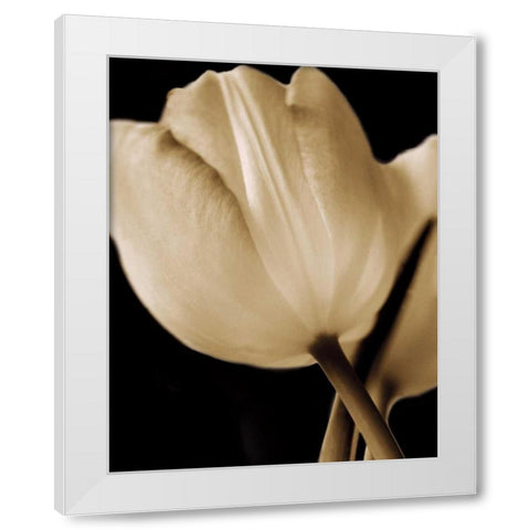 Radiance I White Modern Wood Framed Art Print by Ryan, Cinzia