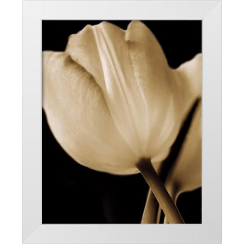 Radiance I White Modern Wood Framed Art Print by Ryan, Cinzia