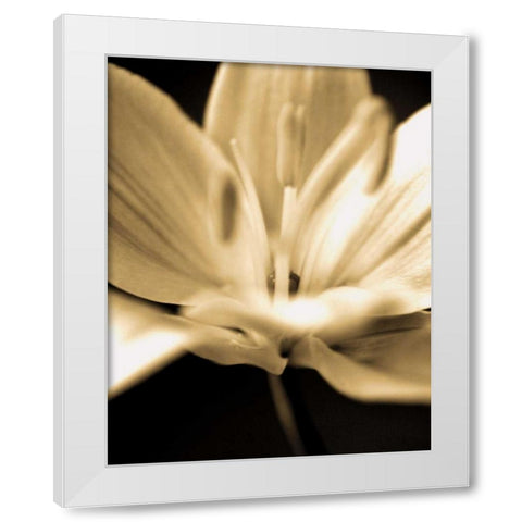 Radiance III White Modern Wood Framed Art Print by Ryan, Cinzia