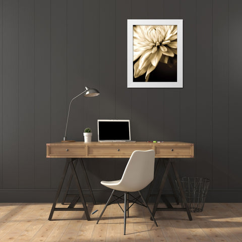 Radiance IV White Modern Wood Framed Art Print by Ryan, Cinzia