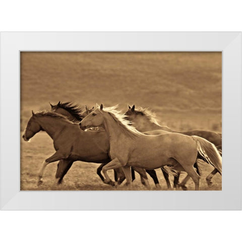 Like the Wind II White Modern Wood Framed Art Print by Caro, Wendy