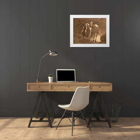 Rangers White Modern Wood Framed Art Print by Caro, Wendy