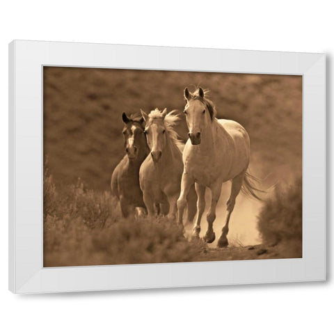 Rangers White Modern Wood Framed Art Print by Caro, Wendy