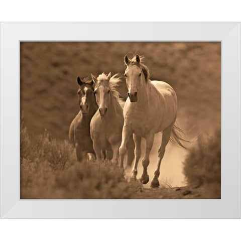 Rangers White Modern Wood Framed Art Print by Caro, Wendy