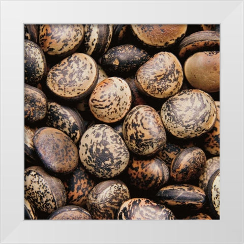 Pebble Textures White Modern Wood Framed Art Print by Maihara/Watt, Jeff/Boyce