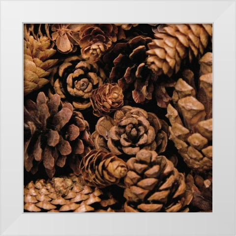 Cone Harvest White Modern Wood Framed Art Print by Maihara/Watt, Jeff/Boyce