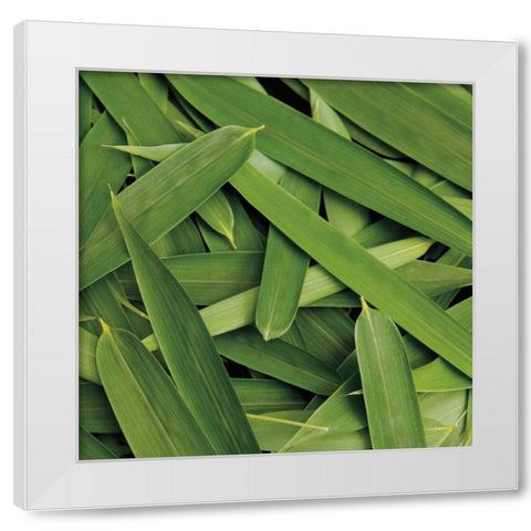Scattered Leaves White Modern Wood Framed Art Print by Maihara/Watt, Jeff/Boyce