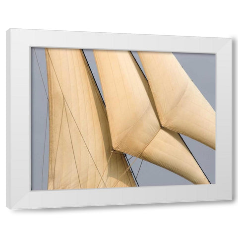Windward I White Modern Wood Framed Art Print by LeBlanc, Frederick J.