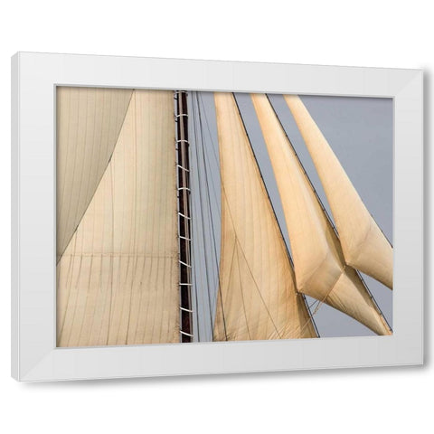 Windward II White Modern Wood Framed Art Print by LeBlanc, Frederick J.