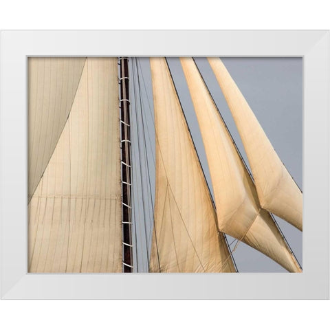 Windward II White Modern Wood Framed Art Print by LeBlanc, Frederick J.