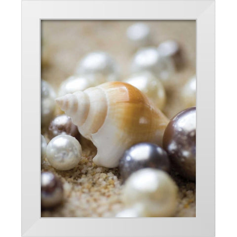 Sea Jewels I White Modern Wood Framed Art Print by Maihara/Watt, Jeff/Boyce