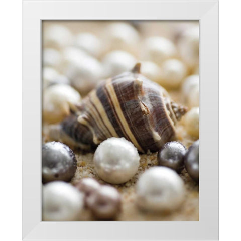 Sea Jewels II White Modern Wood Framed Art Print by Maihara/Watt, Jeff/Boyce