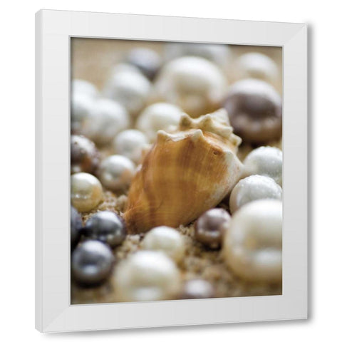 Sea Jewels III White Modern Wood Framed Art Print by Maihara/Watt, Jeff/Boyce