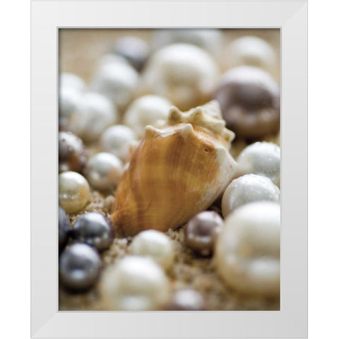 Sea Jewels III White Modern Wood Framed Art Print by Maihara/Watt, Jeff/Boyce