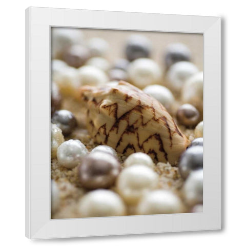 Sea Jewels IV White Modern Wood Framed Art Print by Maihara/Watt, Jeff/Boyce