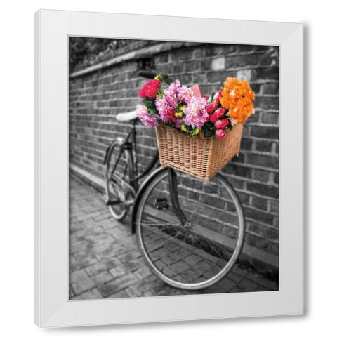 Basket of Flowers II White Modern Wood Framed Art Print by Frank, Assaf