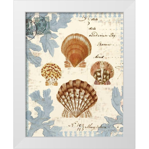 Seashell Collection I White Modern Wood Framed Art Print by Berg, Sabine