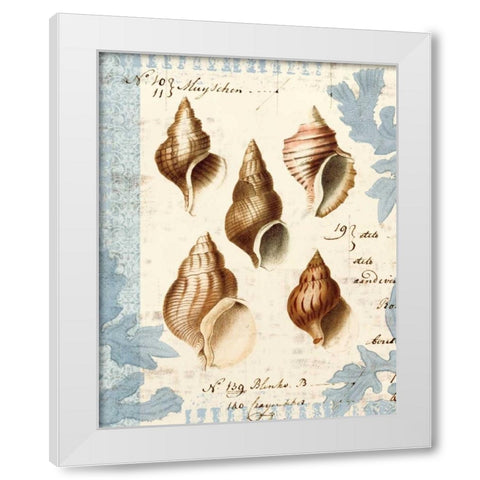 Seashell Collection II White Modern Wood Framed Art Print by Berg, Sabine