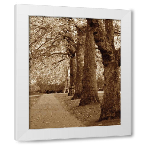 Autumn Stroll I White Modern Wood Framed Art Print by Maihara/Watt, Jeff/Boyce
