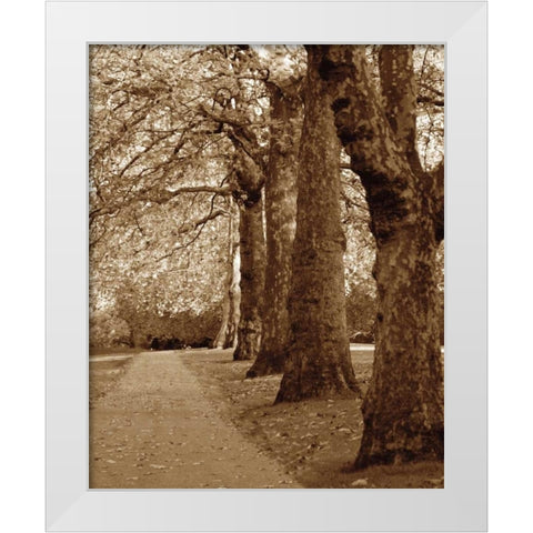 Autumn Stroll I White Modern Wood Framed Art Print by Maihara/Watt, Jeff/Boyce