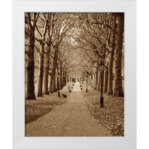 Autumn Stroll II White Modern Wood Framed Art Print by Maihara/Watt, Jeff/Boyce
