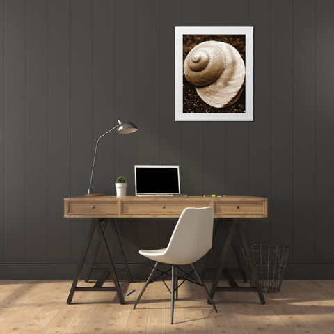Sea Gallery II White Modern Wood Framed Art Print by Maihara/Watt, Jeff/Boyce