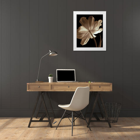 Champagne Tulip II White Modern Wood Framed Art Print by Britt, Charles
