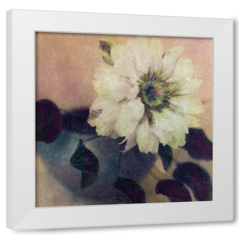 Natures Blossoms I White Modern Wood Framed Art Print by Friedman, Susan