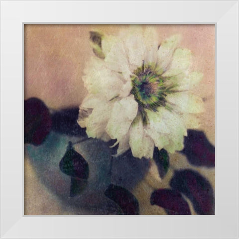 Natures Blossoms I White Modern Wood Framed Art Print by Friedman, Susan