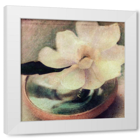 Natures Blossoms III White Modern Wood Framed Art Print by Friedman, Susan