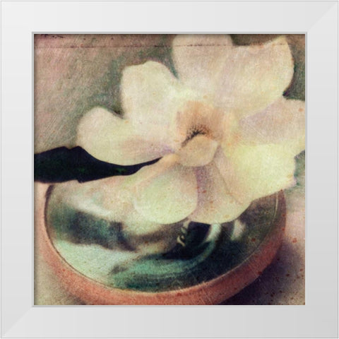 Natures Blossoms III White Modern Wood Framed Art Print by Friedman, Susan