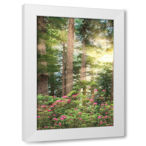 Rise n Shine II White Modern Wood Framed Art Print by Frates, Dennis