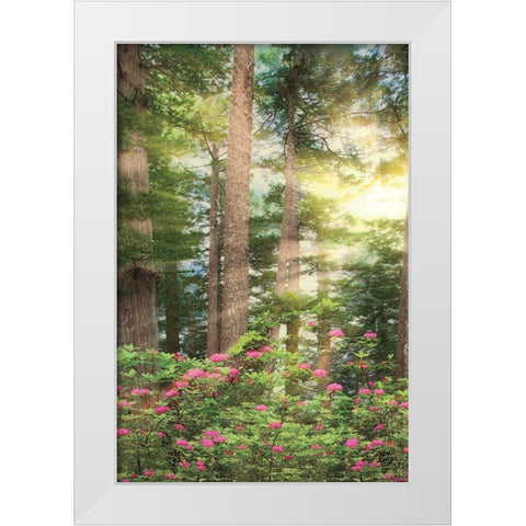 Rise n Shine II White Modern Wood Framed Art Print by Frates, Dennis