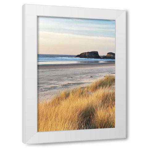 Dune Grass and Beach I White Modern Wood Framed Art Print by Frates, Dennis