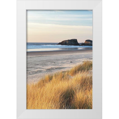 Dune Grass and Beach I White Modern Wood Framed Art Print by Frates, Dennis