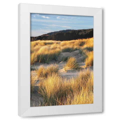 Dune Grass and Beach III White Modern Wood Framed Art Print by Frates, Dennis
