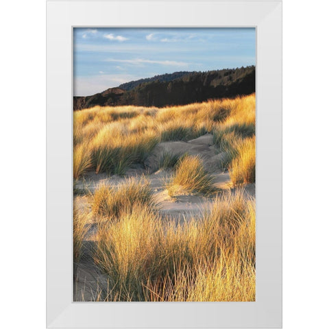 Dune Grass and Beach III White Modern Wood Framed Art Print by Frates, Dennis