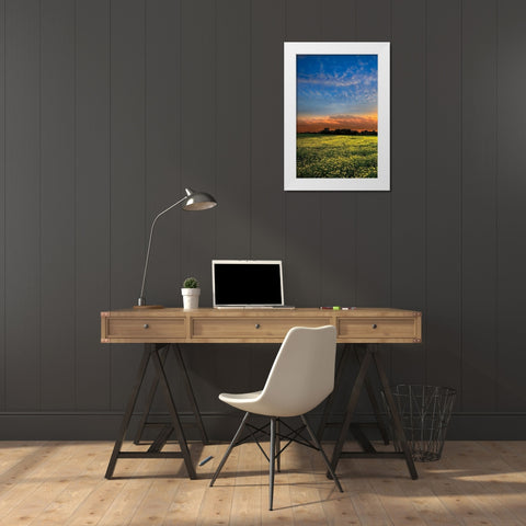Shadows at Sunset I White Modern Wood Framed Art Print by Celebrate Life Gallery