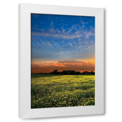 Shadows at Sunset I White Modern Wood Framed Art Print by Celebrate Life Gallery