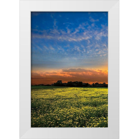 Shadows at Sunset I White Modern Wood Framed Art Print by Celebrate Life Gallery