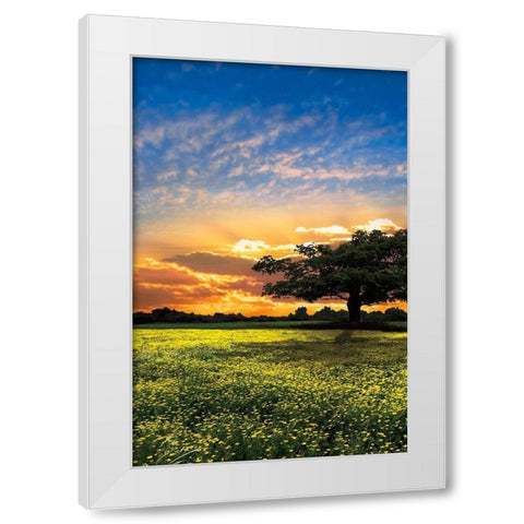Shadows at Sunset II White Modern Wood Framed Art Print by Celebrate Life Gallery