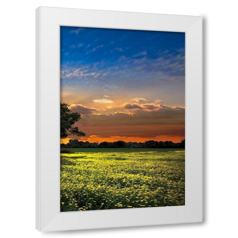 Shadows at Sunset III White Modern Wood Framed Art Print by Celebrate Life Gallery