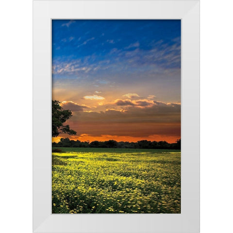 Shadows at Sunset III White Modern Wood Framed Art Print by Celebrate Life Gallery