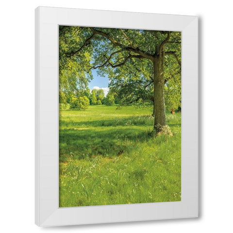 Greenest Pastures I White Modern Wood Framed Art Print by Frank, Assaf