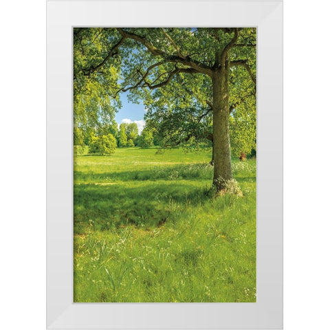 Greenest Pastures I White Modern Wood Framed Art Print by Frank, Assaf