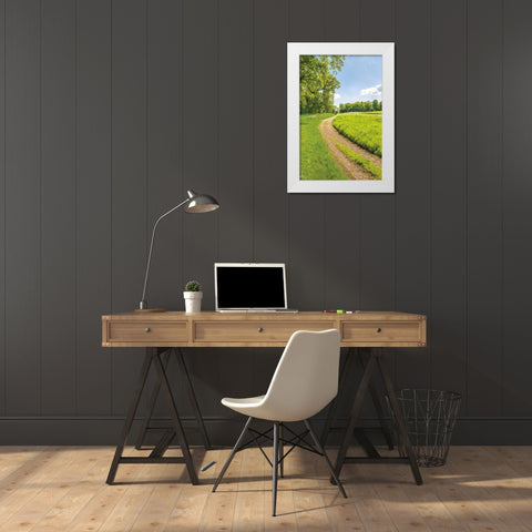 Greenest Pastures II White Modern Wood Framed Art Print by Frank, Assaf