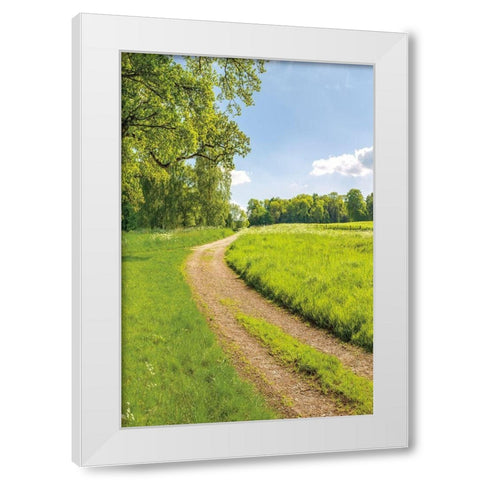 Greenest Pastures II White Modern Wood Framed Art Print by Frank, Assaf