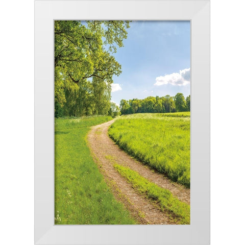 Greenest Pastures II White Modern Wood Framed Art Print by Frank, Assaf