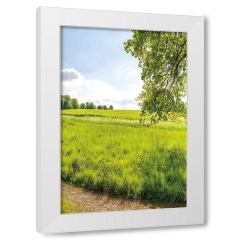 Greenest Pastures III White Modern Wood Framed Art Print by Frank, Assaf